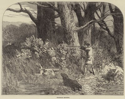 Woodcock Shooting by Harrison William Weir